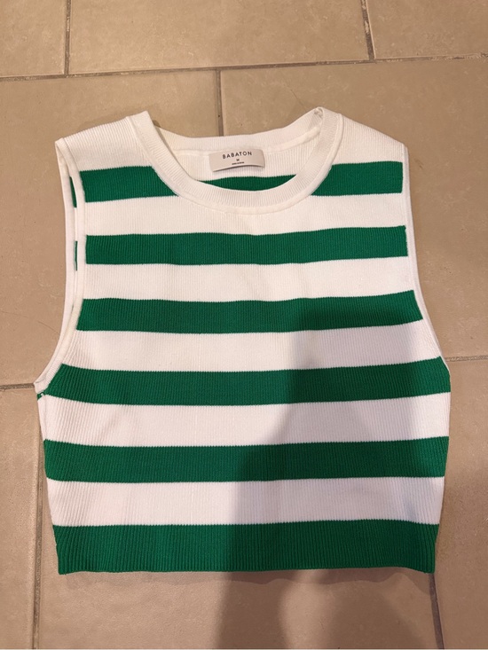 Aritzia Tops - Aritzia Babaton Green and White Striped Cropped Tank